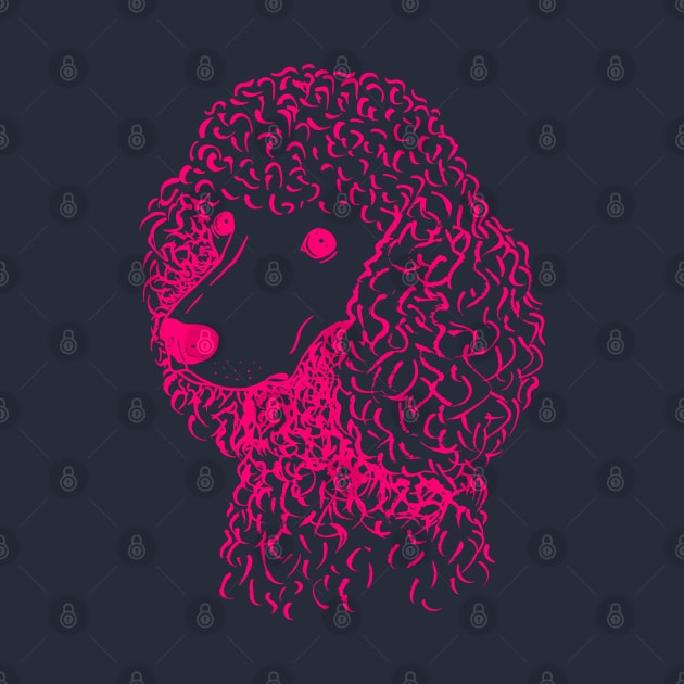 Poodle (Light Blue and Hot Pink) by illucalliart