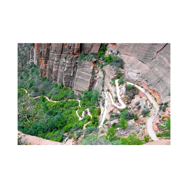 Downhill Switchbacks from Angels Landing by bobmeyers