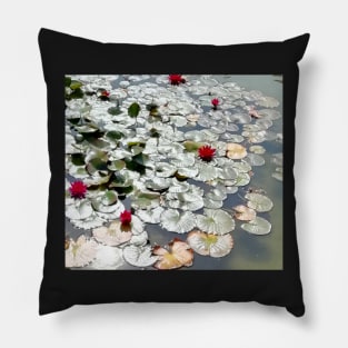 lily Pond Silvered by the Sun Pillow