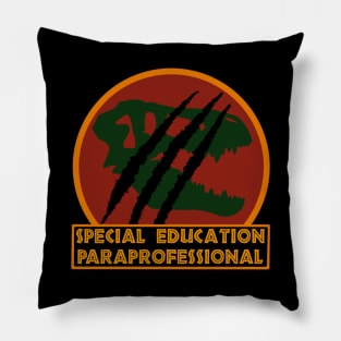 Special education paraprofessional Pillow