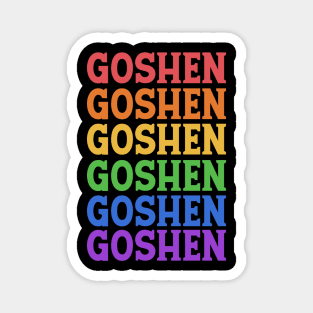 GOSHEN COLORFUL CITY Magnet