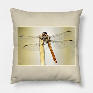 Dragonfly Pillow