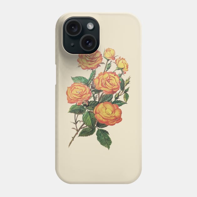 Vintage Rose Floral Flower Illustration Yellow Phone Case by Squeeb Creative