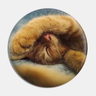 sleepy ginger kitty Pin