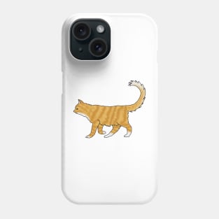 Fluffy orange cat Phone Case