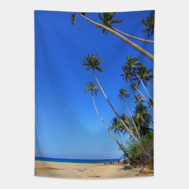 palm tree by the beach best beach picture Tapestry by à la mode !