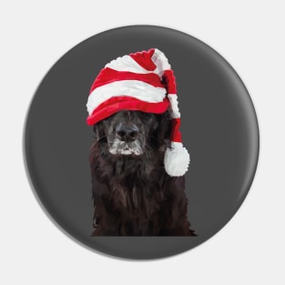 Santa Dog Pin