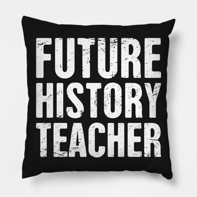 Future History Teacher Pillow by MeatMan