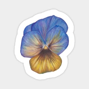 Pansy Magnet