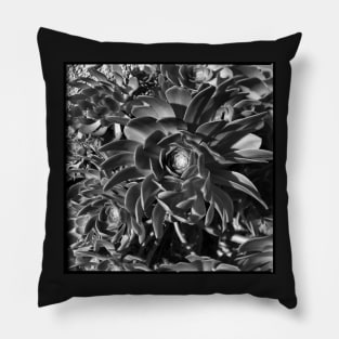 Echeverium Pillow