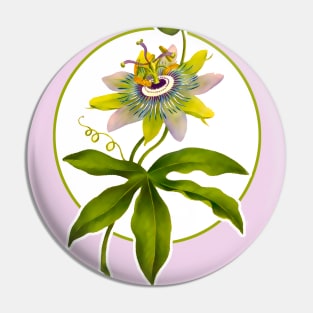 Passion fruit flower Pin