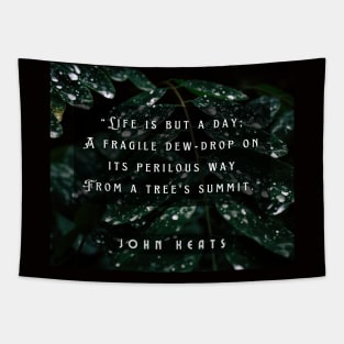 John Keats quote:  life is but a day; A fragile dew-drop on its perilous way From a tree's summit Tapestry