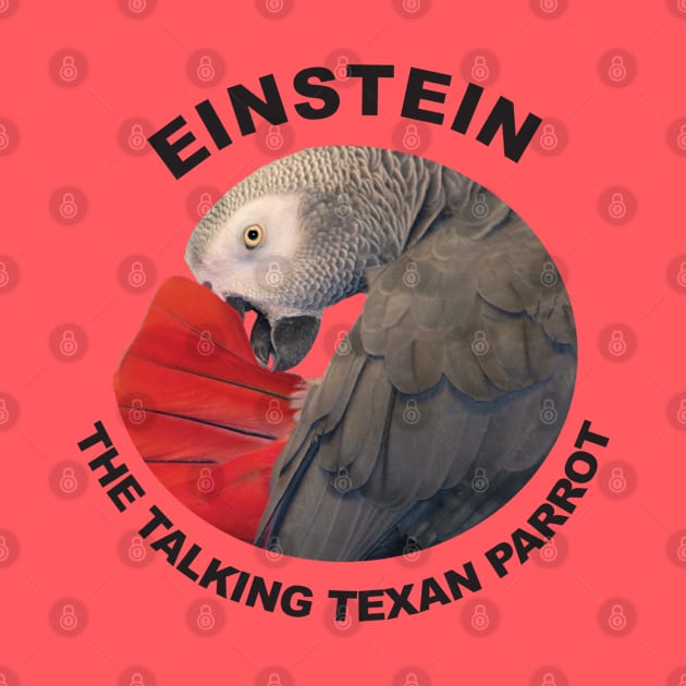 Logo of Einstein the Talking Texan Parrot by Einstein Parrot