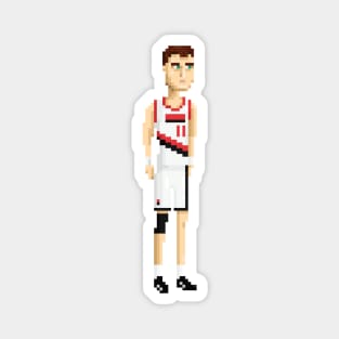 Arvydas Sabonis Magnet