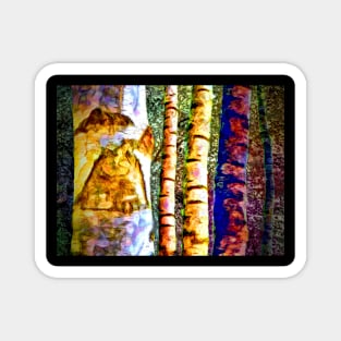 Birch Tree Trunks Magnet