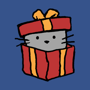 A cat in a gift box T-Shirt