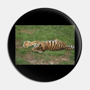 Tiger Cub Pin