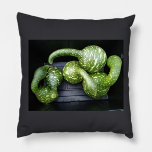 Speckled Swan Gourd Pillow