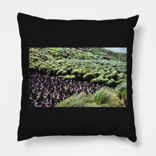 Royal Penguin Colony on Macquarie Island Pillow