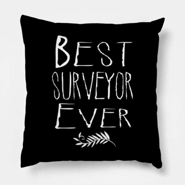 Best Surveyor Ever Best Pillow Teepublic Au