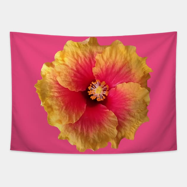 yellow red flower, hibiscus, flowers, blossom, Tapestry by rh_naturestyles