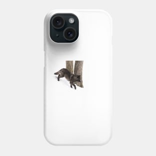 Black Wolf in winter Phone Case