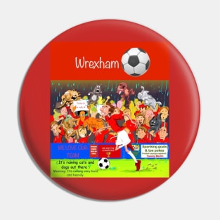 Its raining cats and dogs. Wrexham supporters funny sayings. Pin