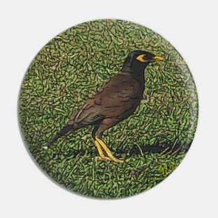 Myna Bird on Grass, photo art Pin