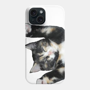 Kittycat Phone Case