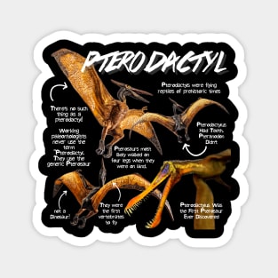 Pterodactyl Fun Facts Magnet