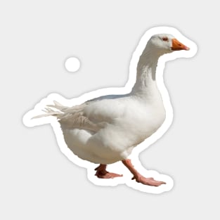 The Effortless Duck Walking Forward Cut Out Magnet