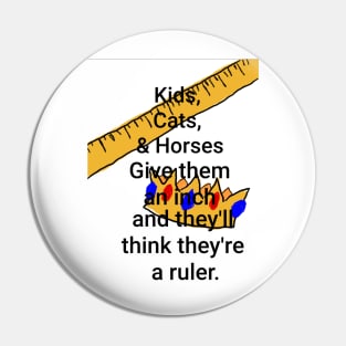 Rules and Rulers Pin