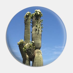 Cacti couple Pin