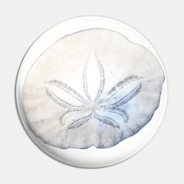 Sand Dollar Photo Pin by DeniseBruchmanPhotography