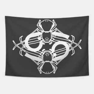 Zodiac Spiders : Cancer Tapestry