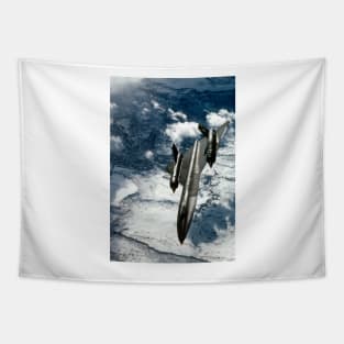 SR-71 Blackbird reconnaissance aircraft (C011/3616) Tapestry