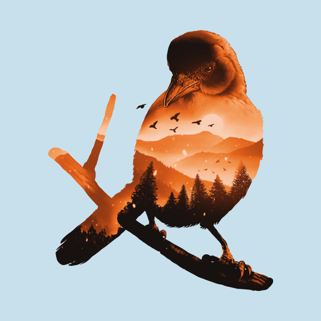 birdtopia