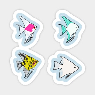 Angelfish Magnet