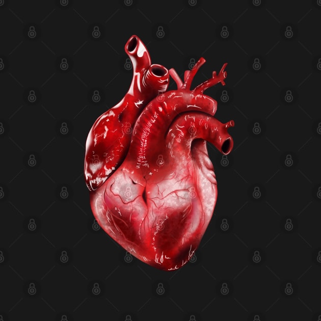 Anatomical Heart by leafdesigns