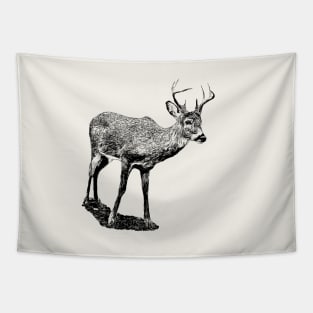 Virginia deer Tapestry