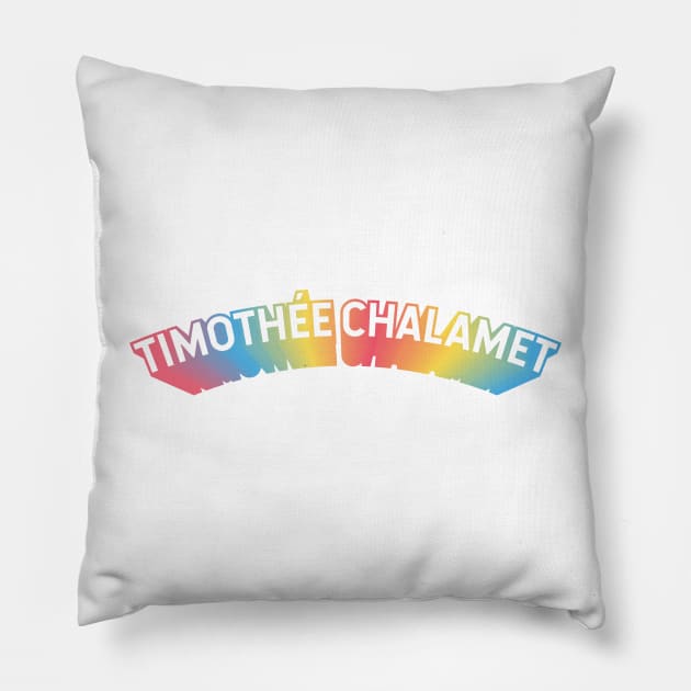 Timothée Chalamet Pillow by Sthickers