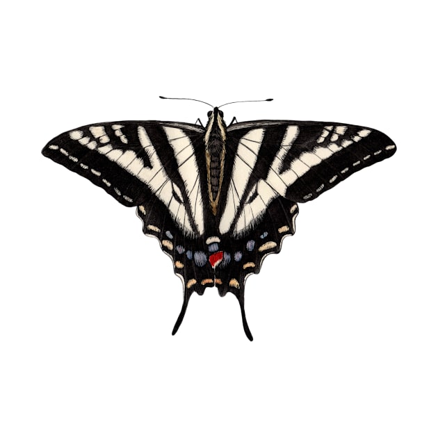 Pale Swallowtail by JadaFitch