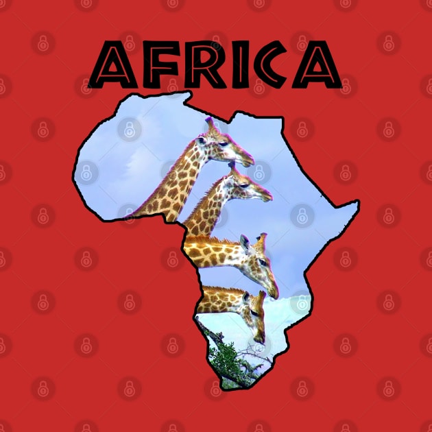 Africa Wildlife Continent 4 Giraffes by PathblazerStudios