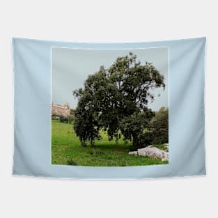 Old Cork Oak Tree Meadow Tapestry