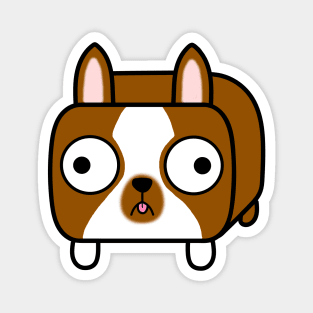 Boston Terrier Loaf - Red Brown and White Dog Magnet