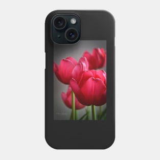 Tulips In The Morning Light Phone Case