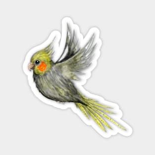 Flying cockatiel watercolor Magnet