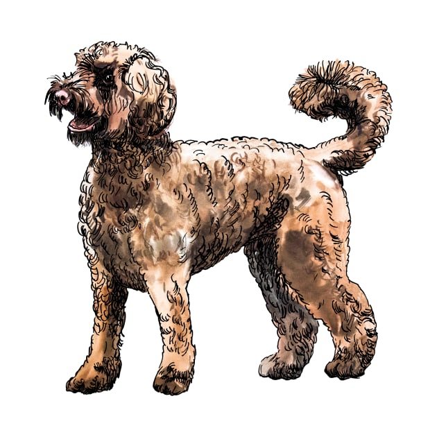 labradoodle by VicaVeresk