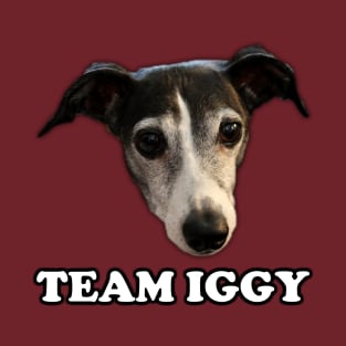 Pretty Good Cooking - Team Iggy T-Shirt