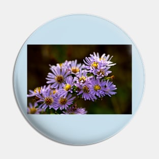 Michaelmas Daisy Pin